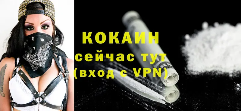 Cocaine Боливия  Вытегра 